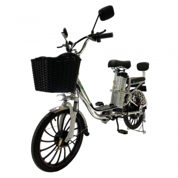 Электровелосипед Колхозник GreenCamel Транк 20 V8 PRO (R20 250W) алюм, 2х подвес